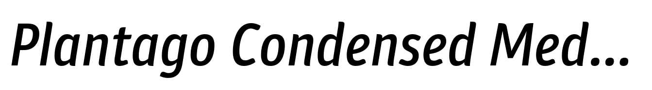 Plantago Condensed Medium Italic